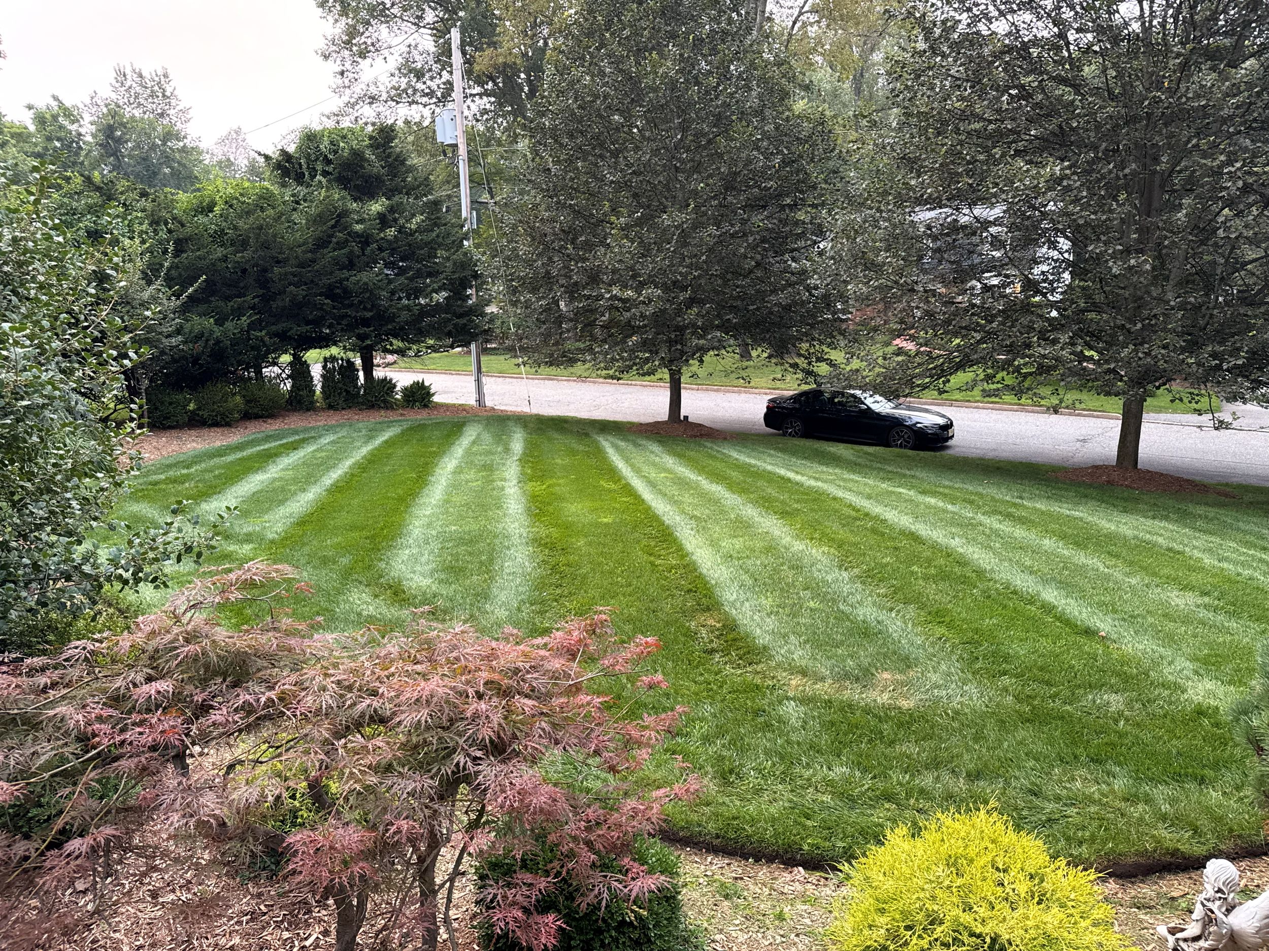 19490C3C-95E8-45A0-A8B3-458BF43EF46B