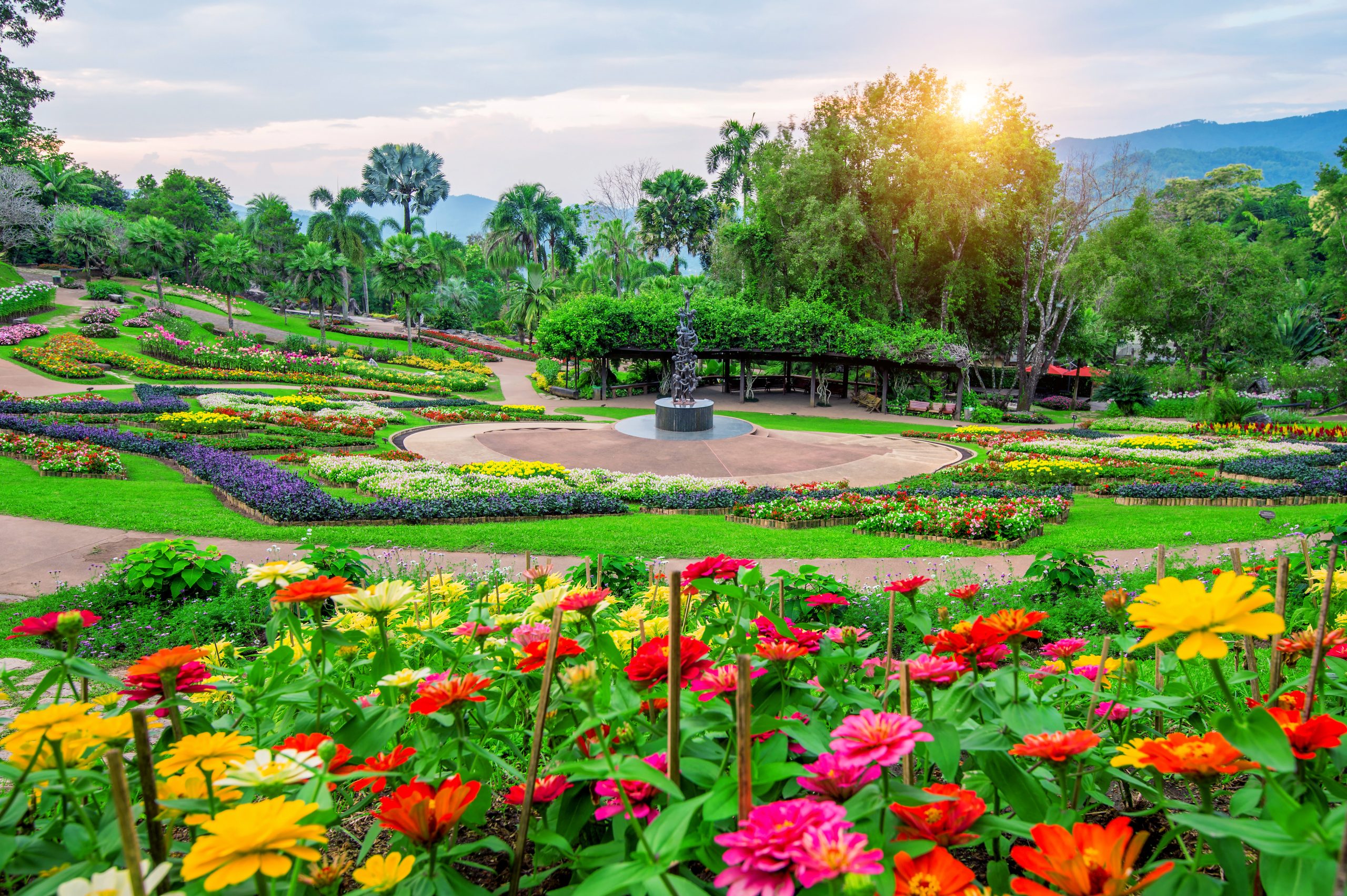 garden-flowers-mae-fah-luang-garden-locate-doi-tung-chiang-rai-thailand-1-scaled.jpg