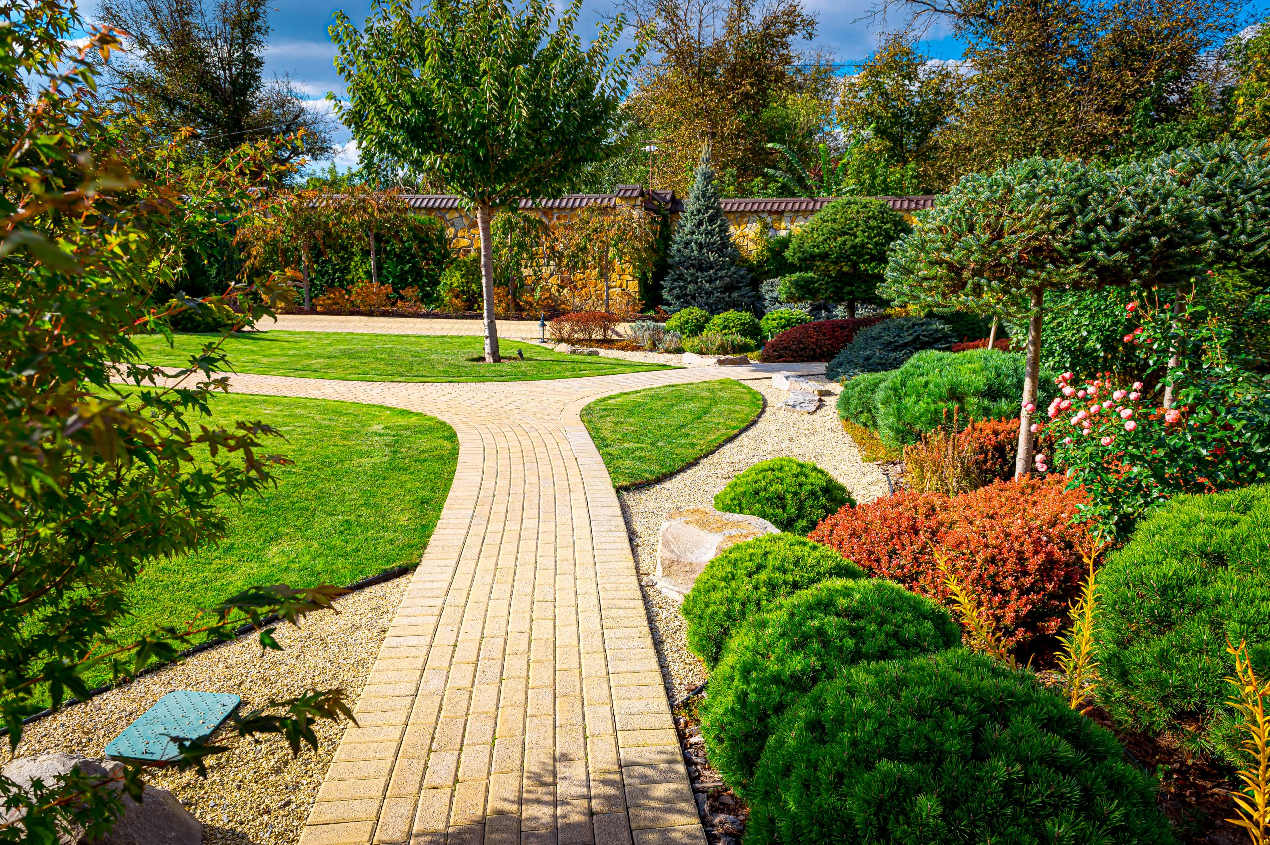 landscape-design-yard-1-scaled.jpg