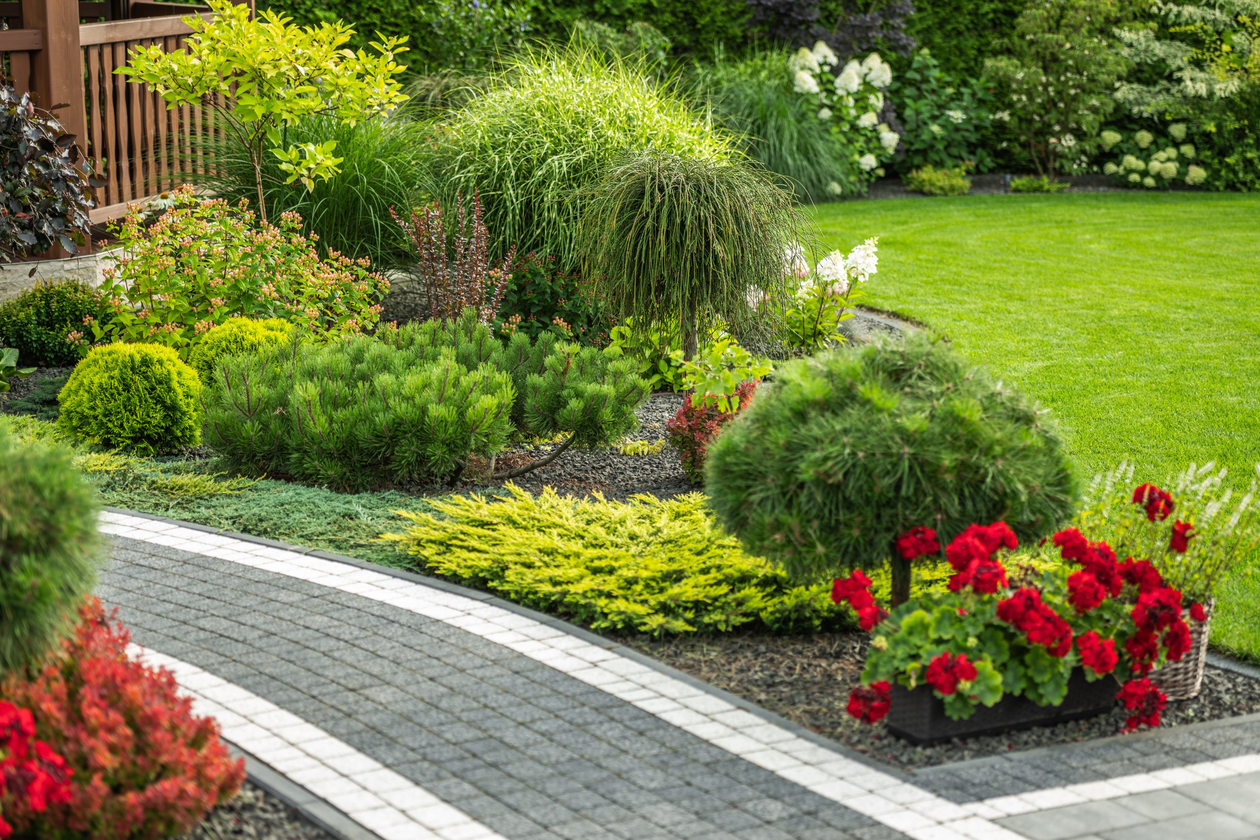 lush_garden_pathway_with_colorful_flower_beds_varied_foliage_bright-1-scaled.jpg